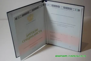 Купить диплом Чебоксарского филиала Нижегородской академии Министерства внутренних дел Российской Федерации в Томске
